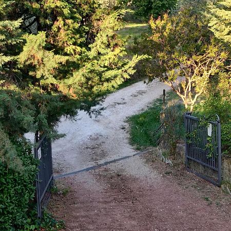 Il Rusticano Chianni Exteriér fotografie