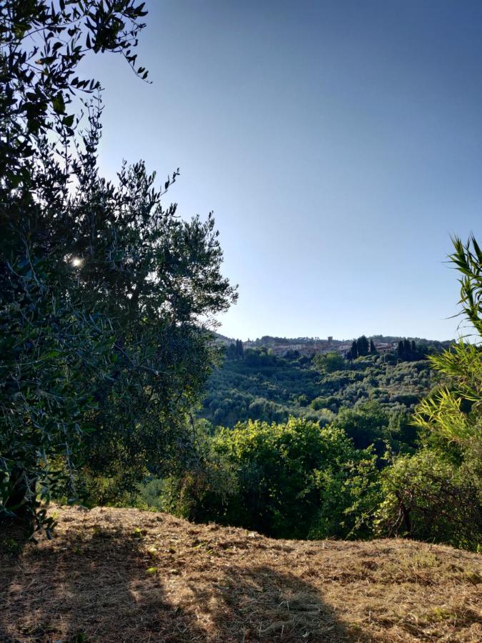 Il Rusticano Chianni Exteriér fotografie