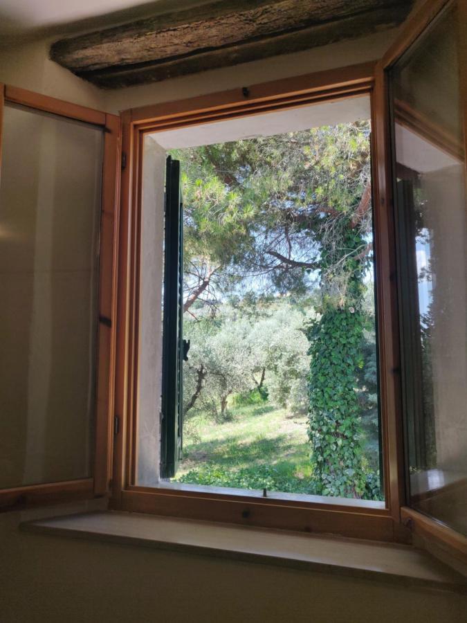 Il Rusticano Chianni Exteriér fotografie