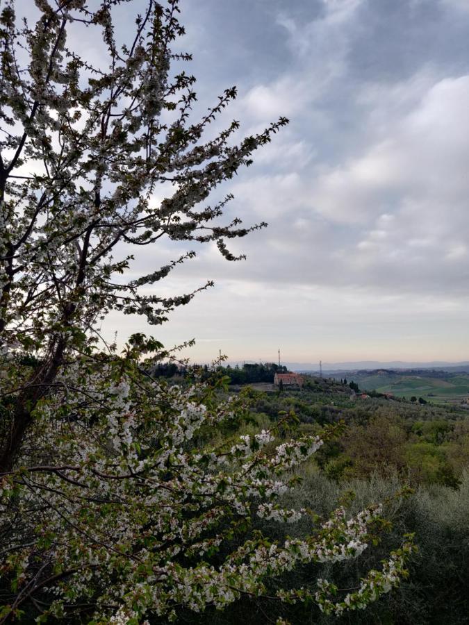 Il Rusticano Chianni Exteriér fotografie