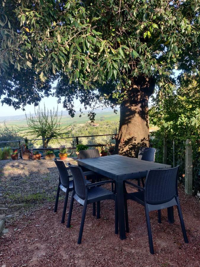 Il Rusticano Chianni Exteriér fotografie