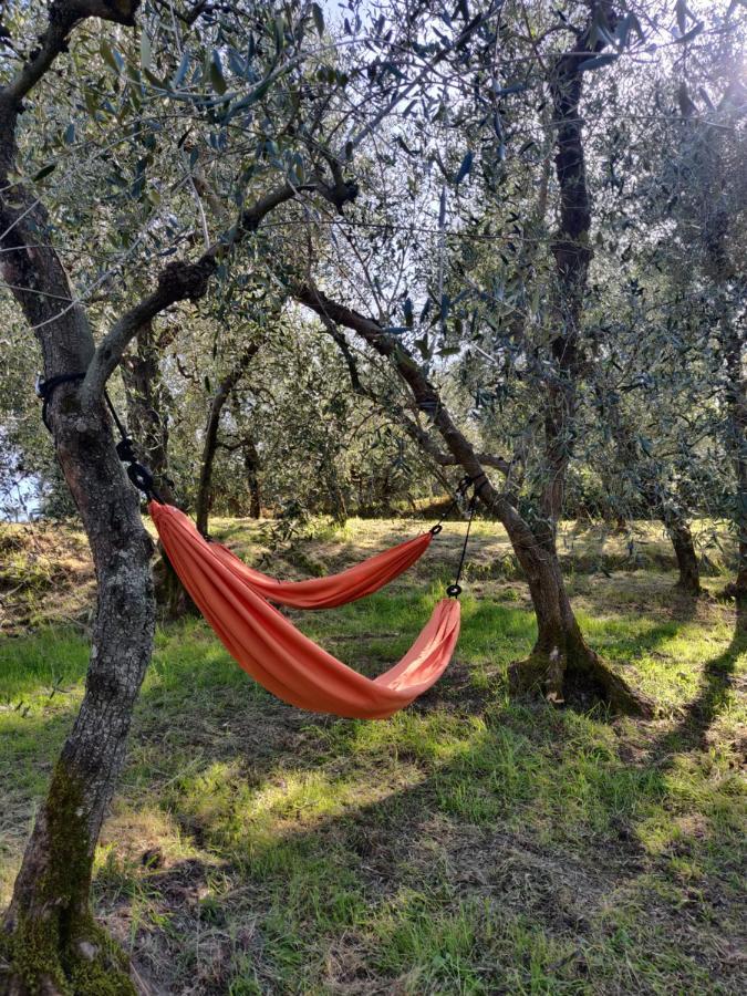 Il Rusticano Chianni Exteriér fotografie